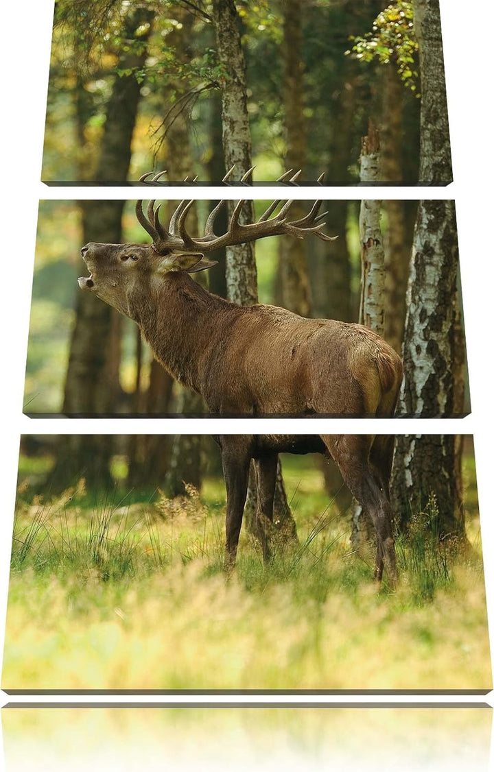 Pixxprint Hirsch im Wald 3-Teiler Leinwandbild 120x80 Bild auf Leinwand