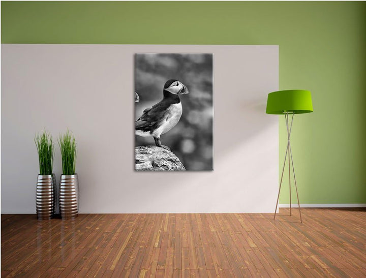 Pixxprint Papageitaucher Familie auf Felsen als Leinwandbild/Grösse: 100x70 / Wandbild/Kunstdruck/fe