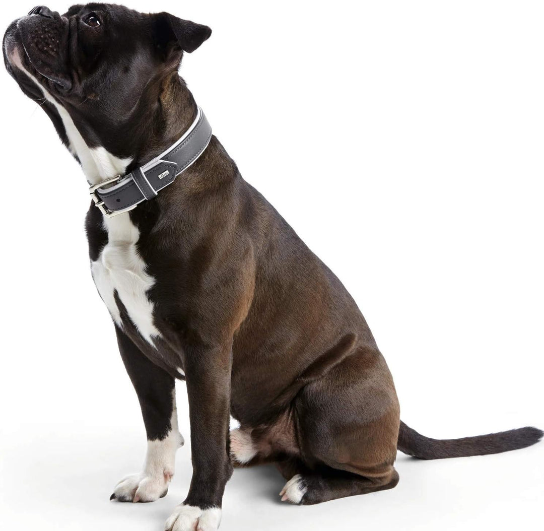 HUNTER CANADIAN Hundehalsband, Leder, hochwertig, weich, 30 (XS), dunkelgrau/grau dunkelgrau/grau 30
