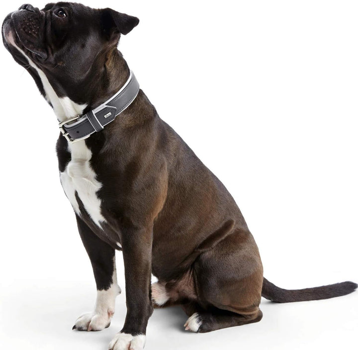 HUNTER CANADIAN Hundehalsband, Leder, hochwertig, weich, 30 (XS), dunkelgrau/grau dunkelgrau/grau 30