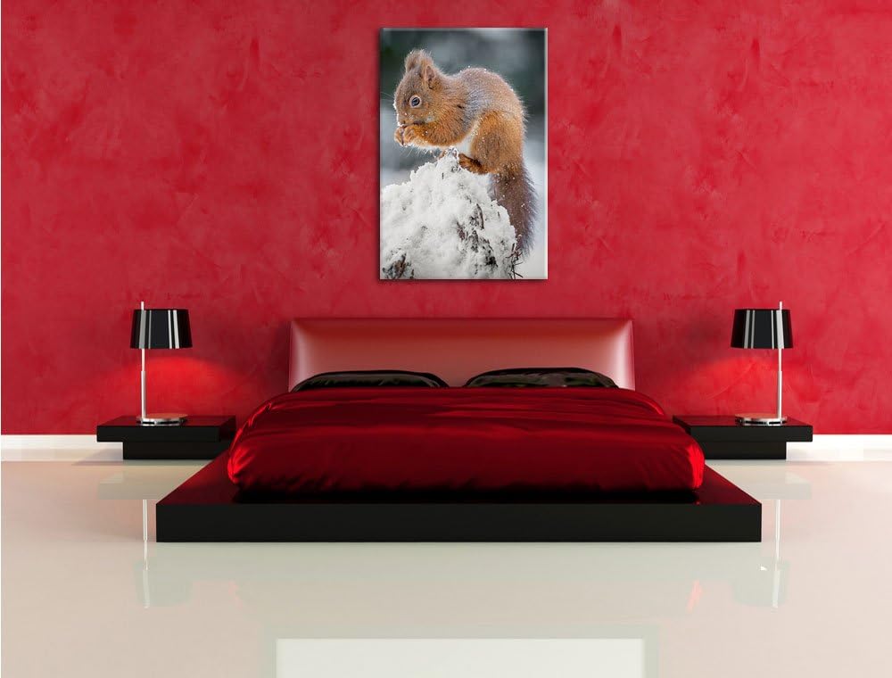 Pixxprint Kleines Eichhörnchen im Winter als Leinwandbild/Grösse: 100x70 cm/Wandbild/Kunstdruck/fert