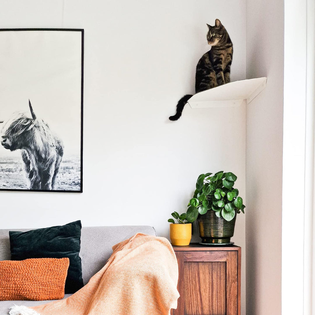 LucyBalu® Corner Katzenliege &amp; Kletterstufe mit Filzauflage für Wandecken | Wandliege für Katzen | K