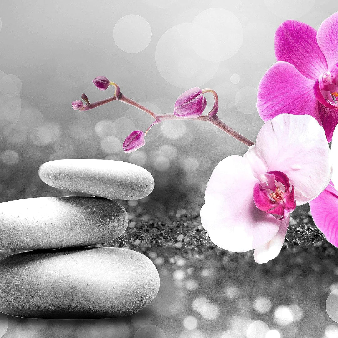 Runa Art Bild Modern Blumen Orchidee - Made in Germany - Wandbilder Feng Shui Grau Rosa 4 Teilig 035