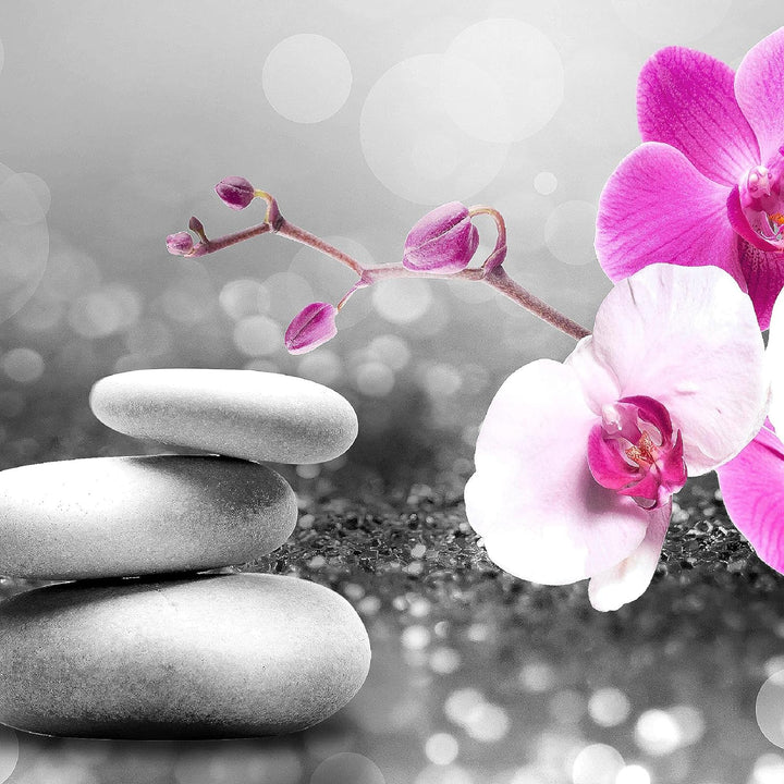 Runa Art Bild Modern Blumen Orchidee - Made in Germany - Wandbilder Feng Shui Grau Rosa 4 Teilig 035