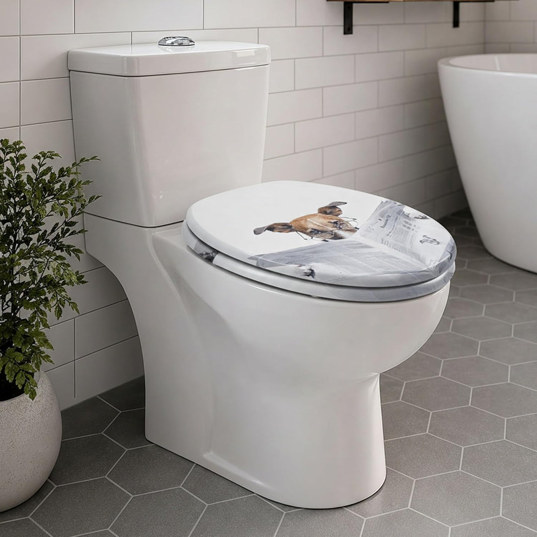 SINOBATH Premium WC Sitz mit Absenkautomatik – hochwertige Toilettendeckel aus Holz, viele bunte Mot