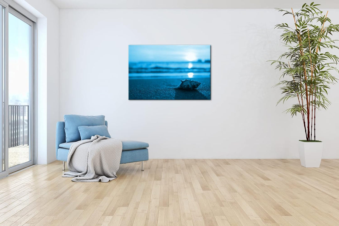 deyoli einzelne Muschel am Strand Format 80x60 Effekt: Monocrome Blau als Leinwandbild, Motiv fertig