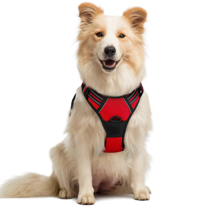 rabbitgoo Hundegeschirr Mittelgrosse Hunde, Anti Zug Geschirr mit Kontrolle, No Pull Verstellbar Hun