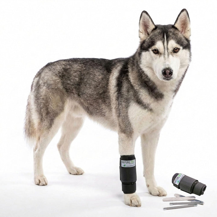 Nature Pet CarpoLock Premium Karpalgelenk Bandage Groesse M, M