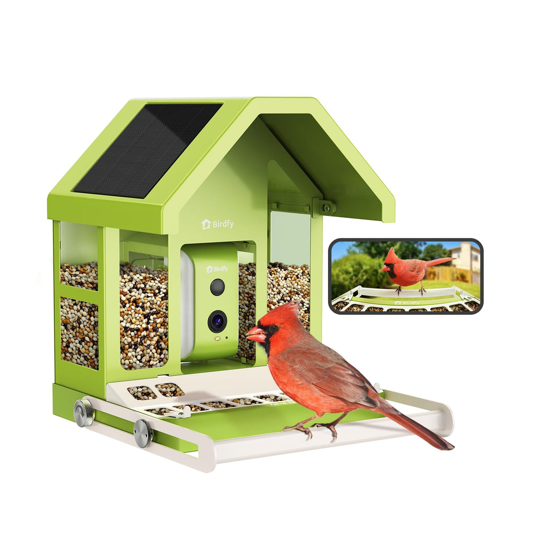 Birdfy Metall Vogelfutterhaus mit Kamera zur Live-Vogelbeobachtung, 1080P Wireless Farbnachtsicht Vo