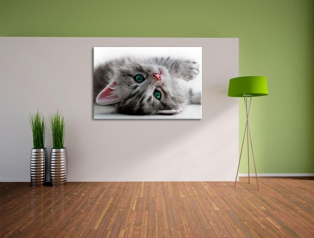 Süsses Katzenbaby, Format: 100x70 auf Leinwand, XXL riesige Bilder fertig gerahmt mit Keilrahmen, Ku
