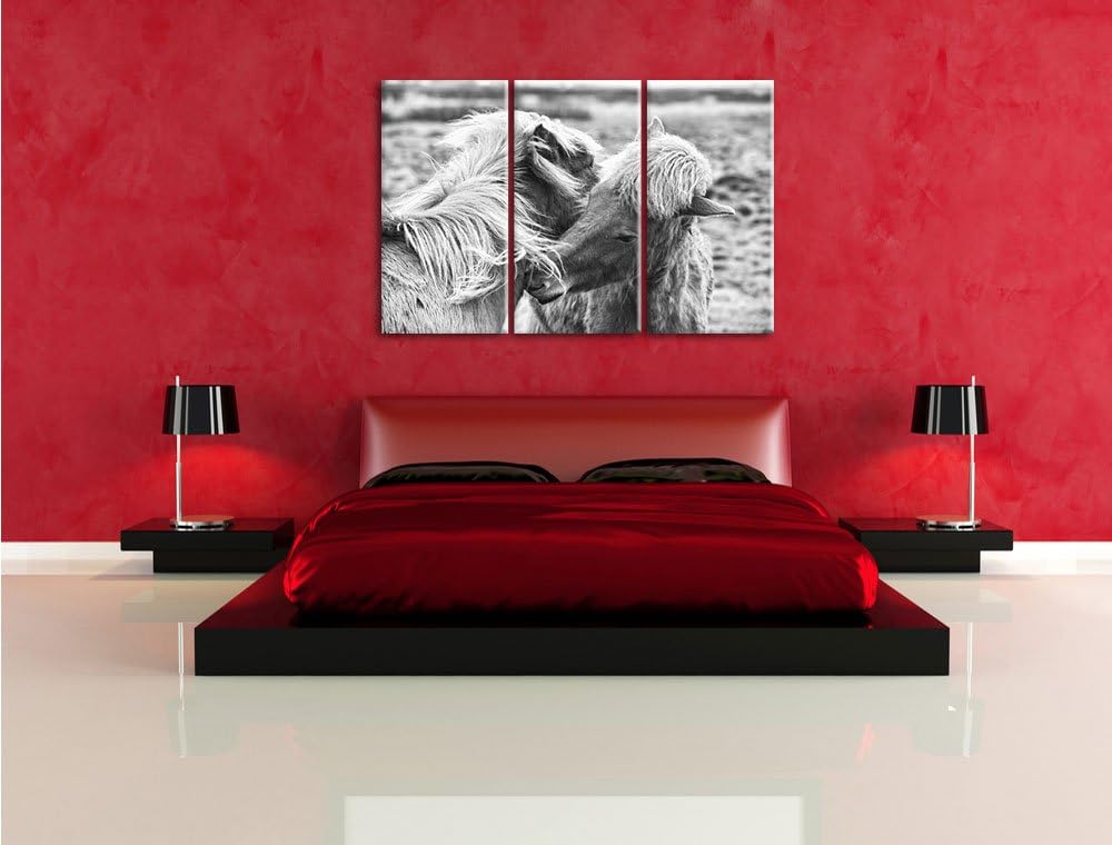 Pixxprint Islandpferde Pony Kunst B&W als Leinwandbild/Grösse: 3 Teilig (120x80) / Wandbild/Kunstdru
