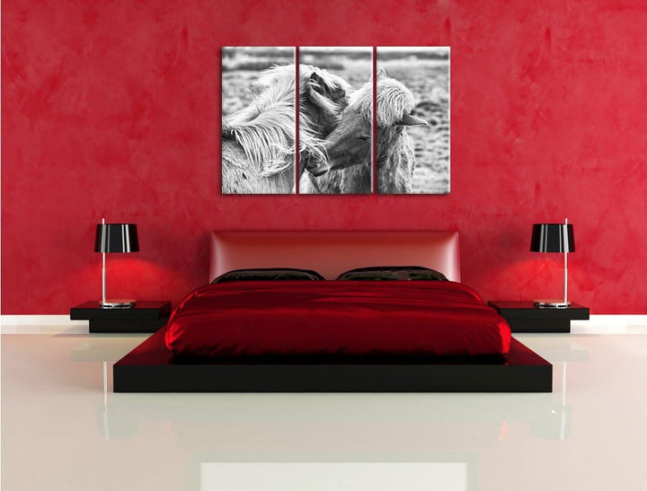 Pixxprint Islandpferde Pony Kunst B&W als Leinwandbild/Grösse: 3 Teilig (120x80) / Wandbild/Kunstdru