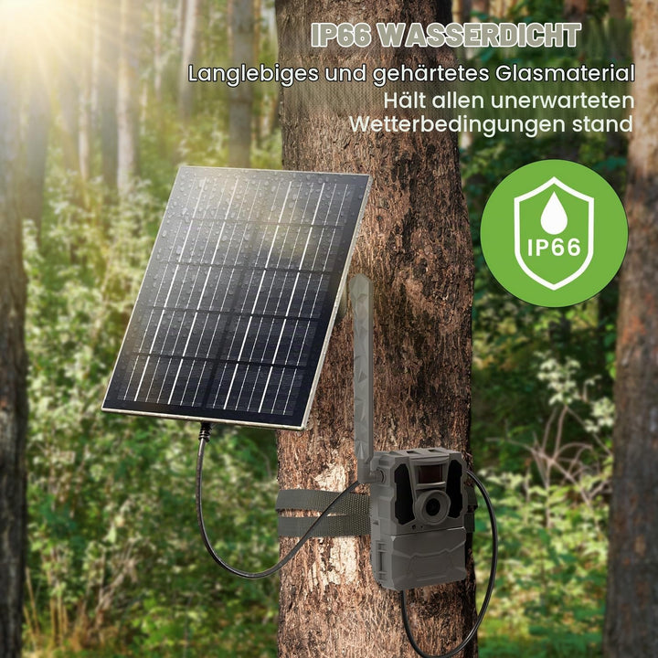 Solarpanel Eingebauter 20000mAh Akku kompatibel mit 12V/6V Wildlifekamera&amp;Überwachungskameras mit 3M