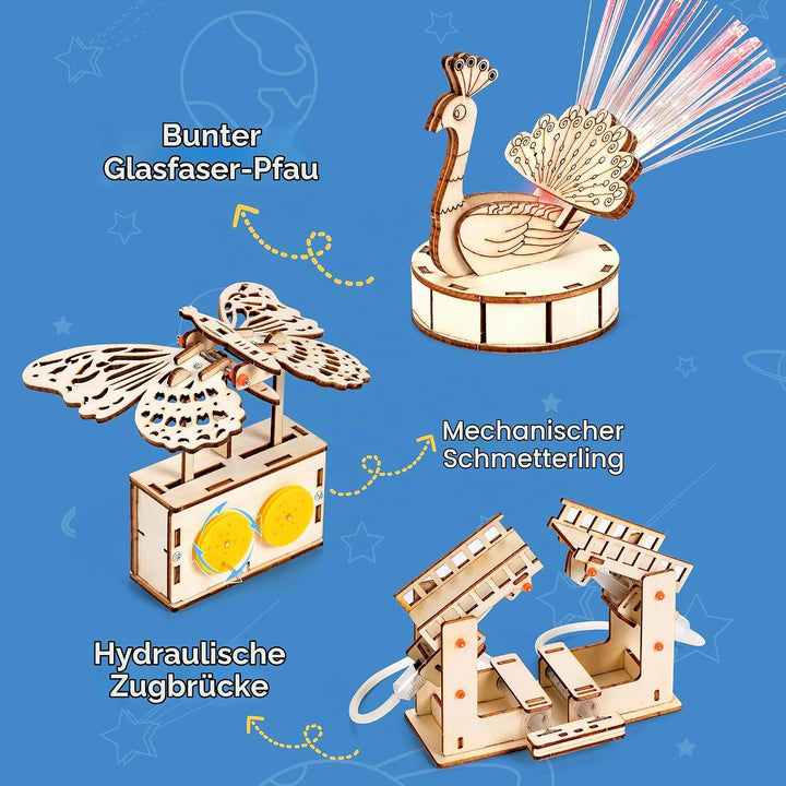 Sitodier 6 individuelle Mint-Experimentiersets für Kinder, Experimentierset aus Holz, Mint-Spielzeug