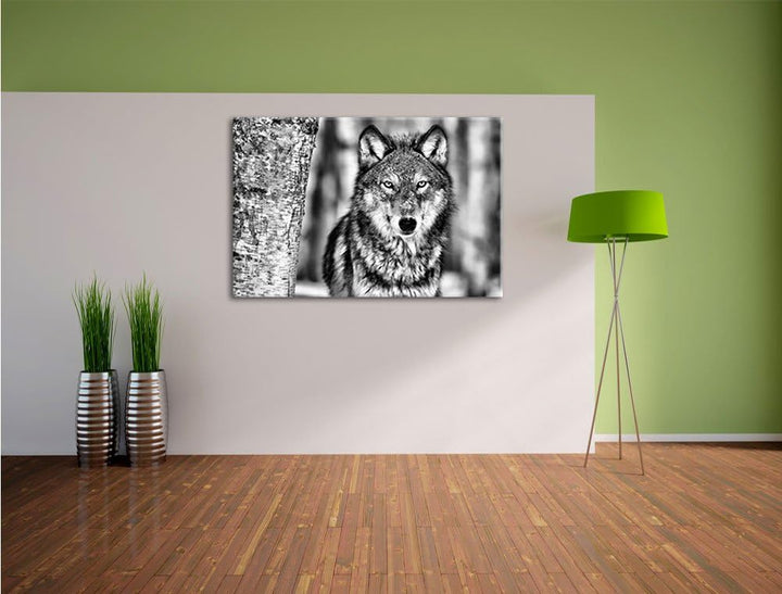 Pixxprint Wachsamer Wolf als Leinwandbild/Grösse: 100x70 cm/Wandbild/Kunstdruck/fertig bespannt, 100