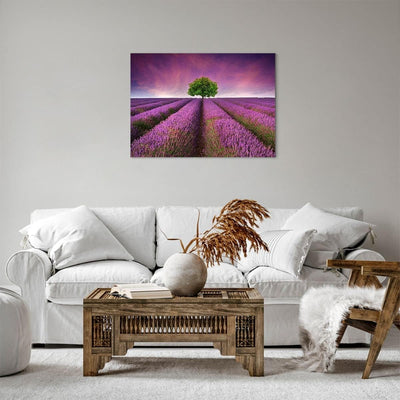 Bilder auf Leinwand Wiese lavenda Sommer Landschaft Leinwandbild 70x50cm Wandbilder Dekoration Wohnz