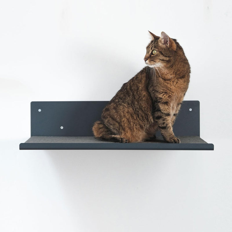 LucyBalu® Wandliege für Katzen | Katzenbett für Wand | Katzen Wand Liegeplatz | Katzen Wandbett | Ka
