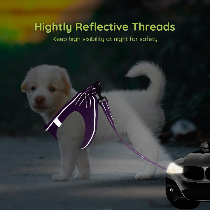 BELLA & PAL Hundegeschirr Kleine Hunde mit Leine, Step-in Geschirr aus Air Mesh, Anti Zug Reflektier