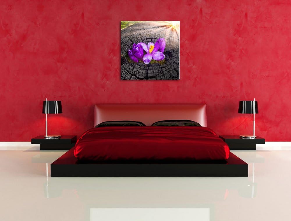 Die Kraft der Natur, Format: 70x70 auf Leinwand, XXL riesige Bilder fertig gerahmt mit Keilrahmen, K