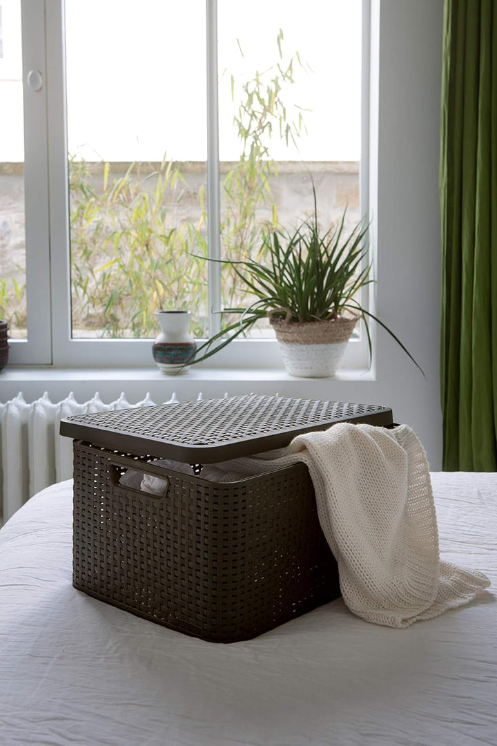 Curver STYLE BOX S mit Deckel, 3er-Set, dunkelbraun, 3x7L Stil Box S+LID, SETX3 - PACK Dunkelbraun,