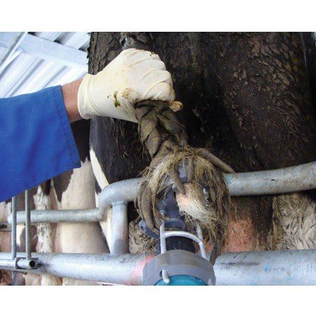 Kerbl - Tail Trimmer Tailwell II - 18250