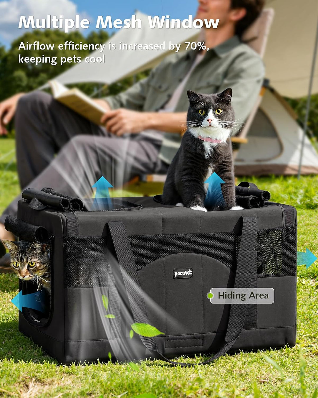 Pecute Katzentransportbox Gross Faltbar Transporttasche 2 Katzen,Dunkelgrau | Abnehmbare Trennwand,