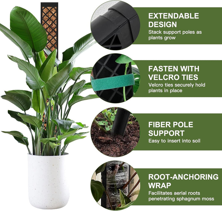 Moosstab für Monstera Rankhilfe Zimmerpflanzen, 4 PCS 25cm Selbstbewässerung moosstab, Monstera Pfla