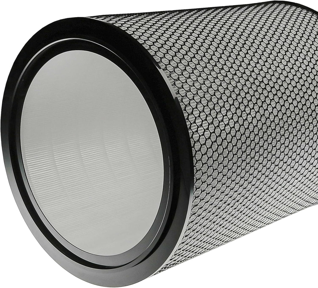 vhbw H13 Filter kompatibel mit Dyson Purifier Big+Quiet Formaldehyde BP04 Luftreiniger - Ersatz-Filt