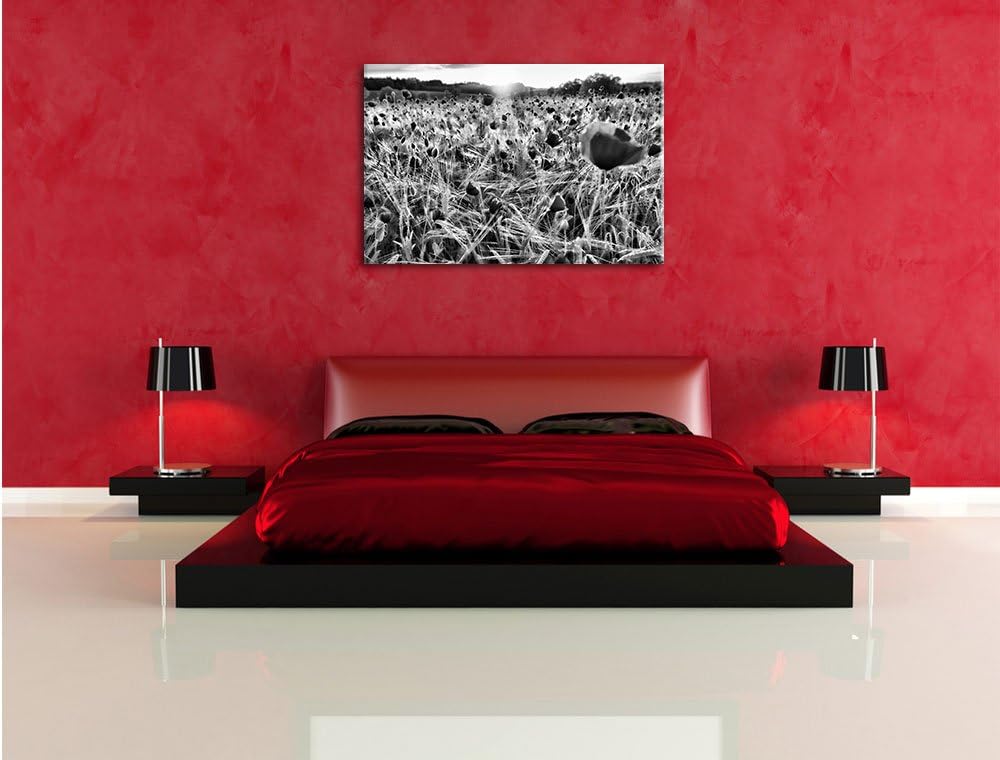 Pixxprint Mohnfeld bei Sonnenuntergang als Leinwandbild/Grösse: 100x70 cm/Wandbild/Kunstdruck/fertig