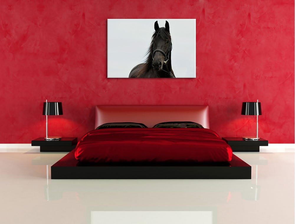 Pixxprint Schönes Pferd, Format: 100x70 auf Leinwand, XXL riesige Bilder fertig gerahmt mit Keilrahm