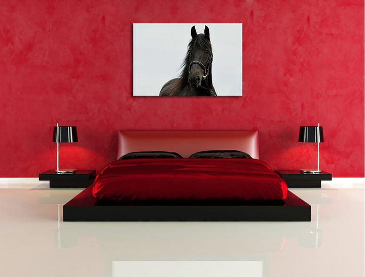 Pixxprint Schönes Pferd, Format: 100x70 auf Leinwand, XXL riesige Bilder fertig gerahmt mit Keilrahm
