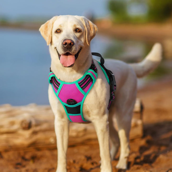 rabbitgoo Hundegeschirr Mittelgrosse Hunde, Anti Zug Geschirr mit Kontrolle, No Pull Verstellbar Hun
