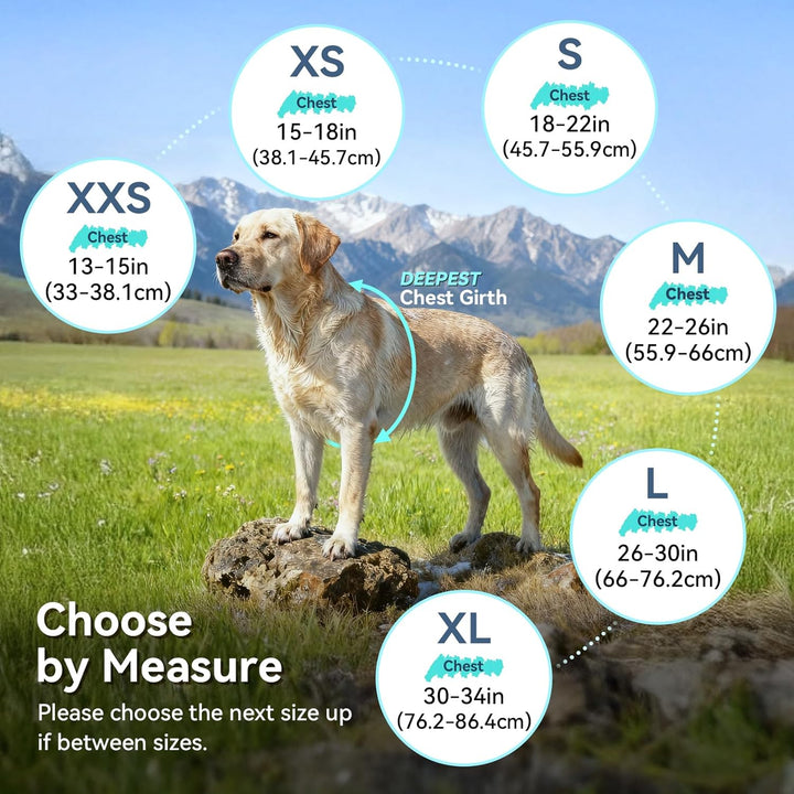 VIVAGLORY Hunderegenmantel für kleine Hunde, einfach an- und ausziehbare Regenbekleidung, reflektier