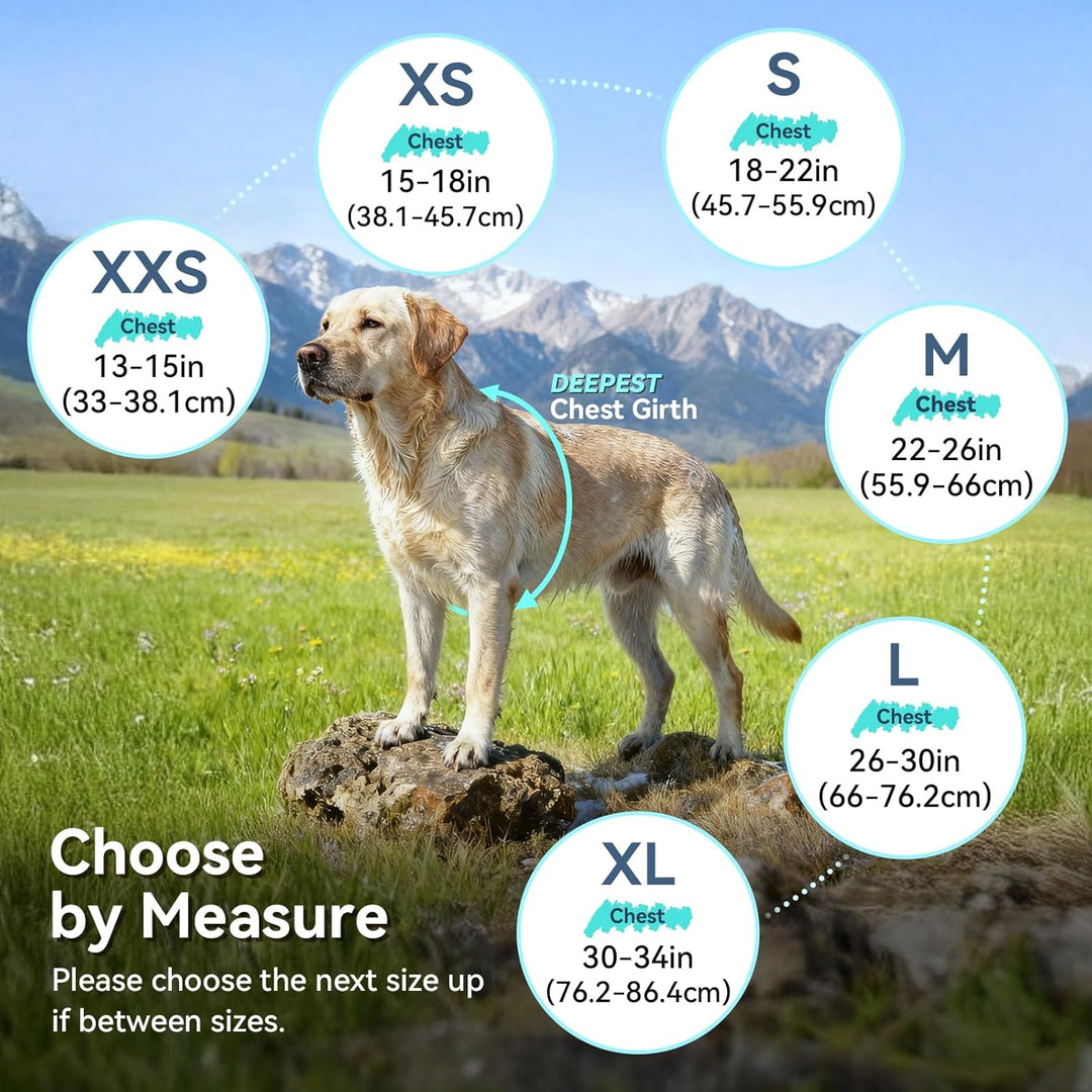 VIVAGLORY Hunderegenmantel für grosse Hunde, leicht an- und ausziehbare Regenbekleidung, reflektiere