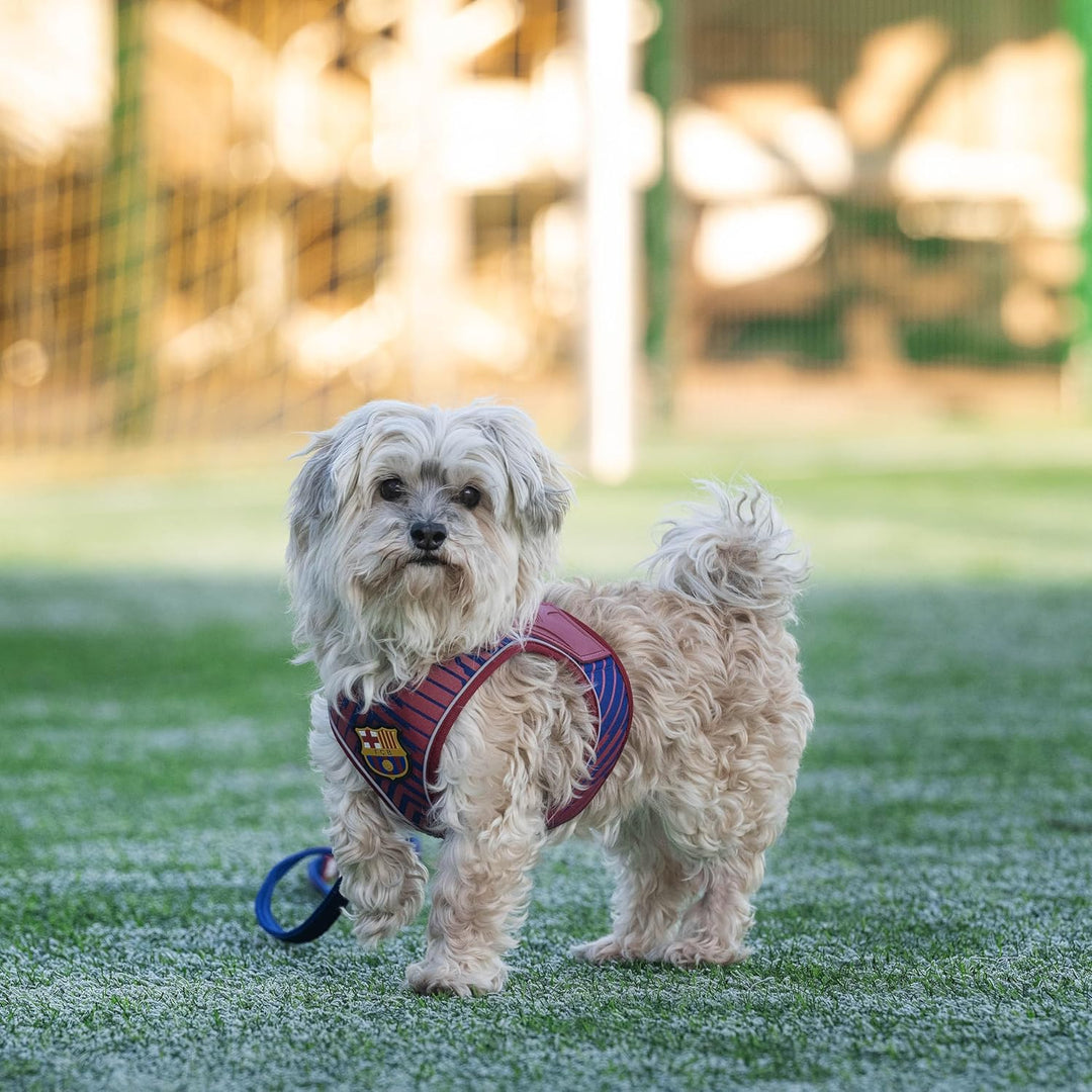 Max & Molly Hundegeschirr FC Barcelona/L als Air Vest Geschirr, Step-In Geschirr, für Hunde, mit Got