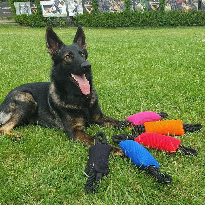 Dingo Gear Beisswurst mit 2 Griff Bungee Breite 8 cm Länge 22 cm aus Nylcot für Hundetraining IGP IP
