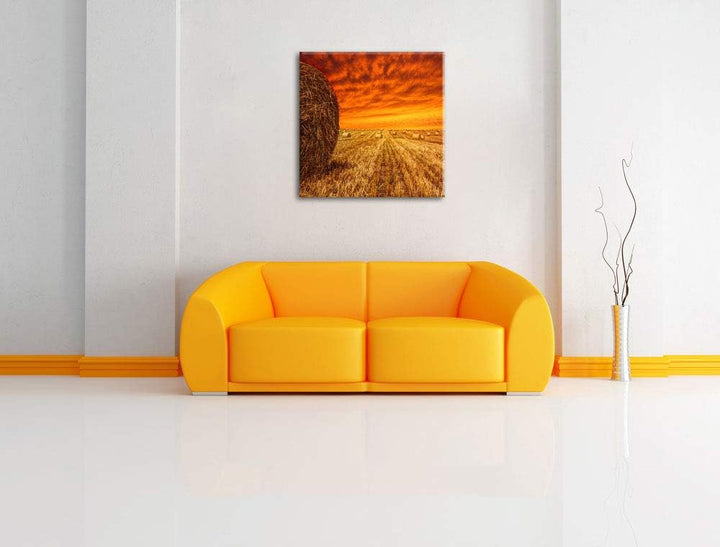 Feld im Sonnenuntergang, Format: 70x70 auf Leinwand, XXL riesige Bilder fertig gerahmt mit Keilrahme