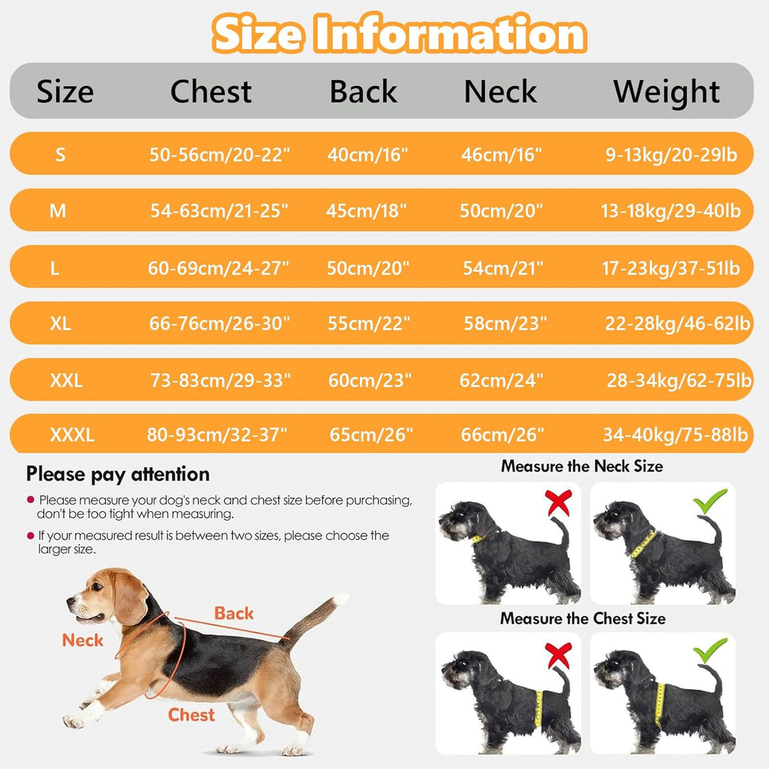 LIANZIMAU Regenmantel Hund Hunderegenmantel Wasserdicht mit Transparenter Kapuze - Reflektierender H