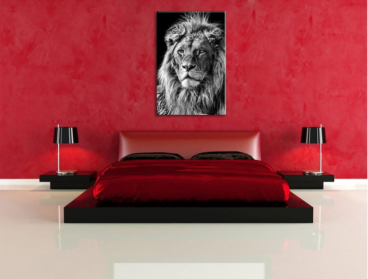 Pixxprint Monocrome, beeindruckender Löwe, Format: 100x70 auf Leinwand, 100x70
