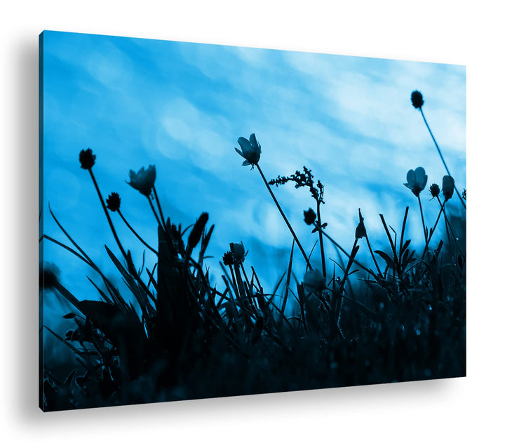 deyoli Sonnenuntergang mit schöner Wiese Format 80x60 Effekt: Monocrome Blau als Leinwandbild, Motiv