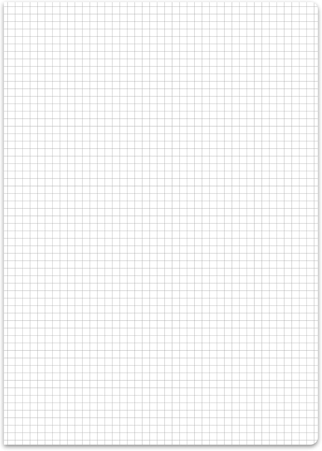 Staufen Style Schulheft - 10 Hefte je 16 Blatt, DIN A4, Lineatur 22 (5 mm kariert), 80 g/m² Papier