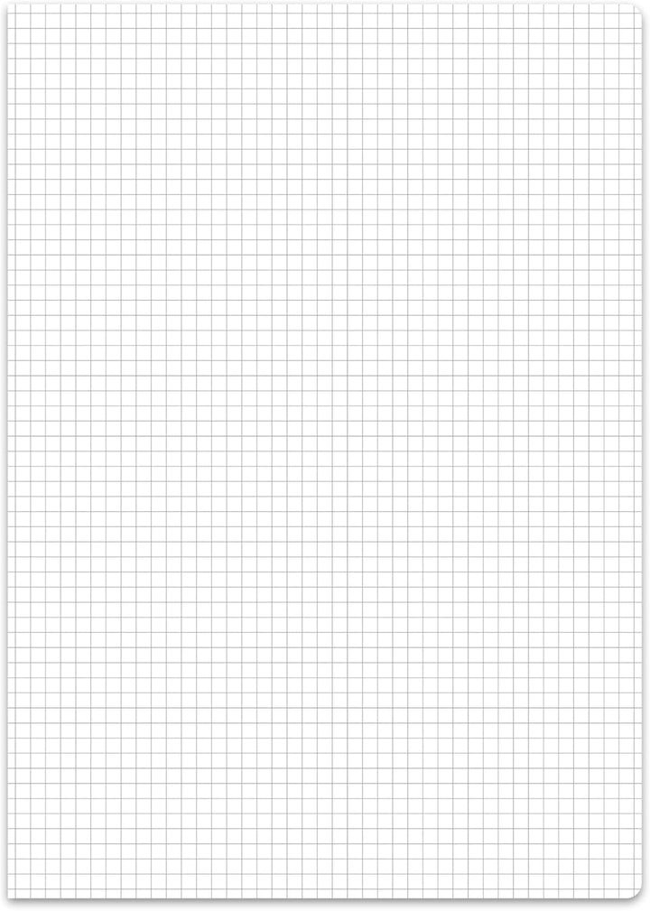 Staufen Style Schulheft - 10 Hefte je 16 Blatt, DIN A4, Lineatur 22 (5 mm kariert), 80 g/m² Papier