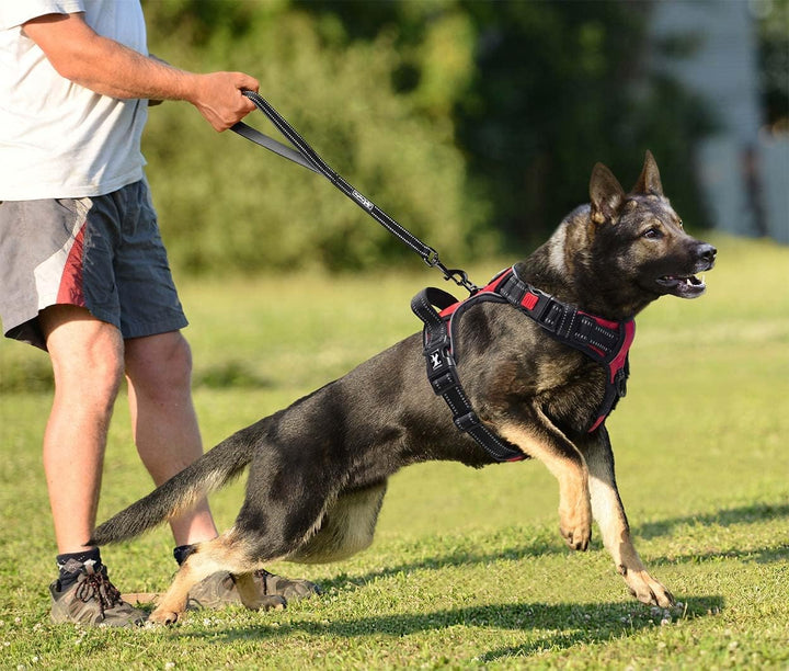 PoyPet Keine Pull Hundegeschirr Front Reflektierende Pet Weste für Hunde mit Einfache Kontrolle Grif