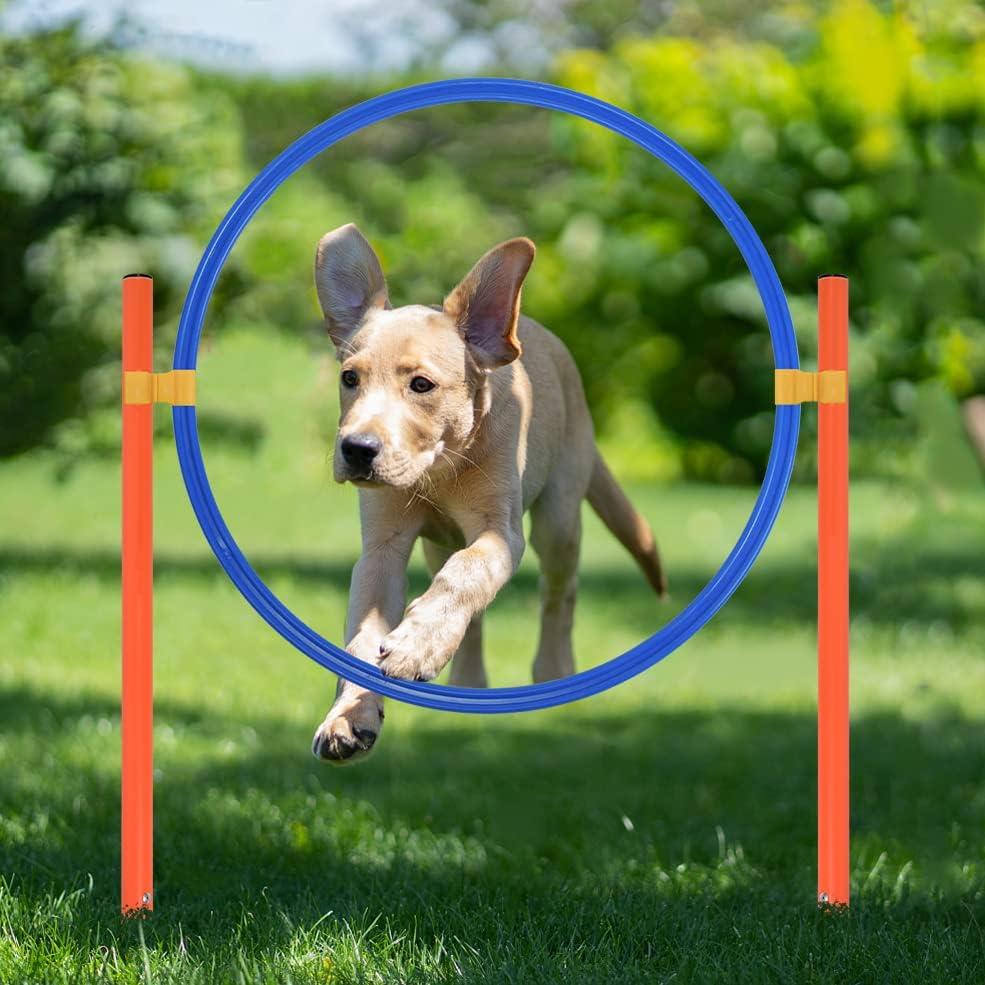 Agility Set für Hunde Trainingsset mit Hundetunnel, Höhenverstellbare Hürden, Hindernisse, Sprungrin
