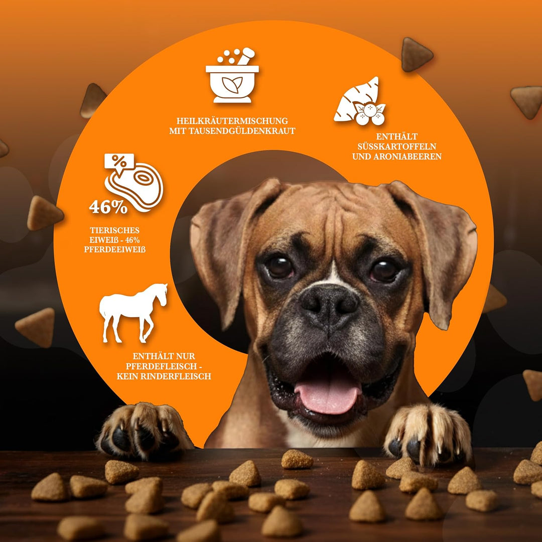 Wildborn Wild Mustang 2 kg getreidefreies Hundefutter mit Pferdefleisch, Süsskartoffel & Aroniabeere