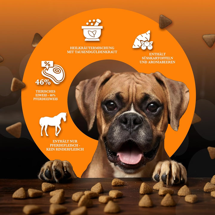 Wildborn Wild Mustang 2 kg getreidefreies Hundefutter mit Pferdefleisch, Süsskartoffel & Aroniabeere