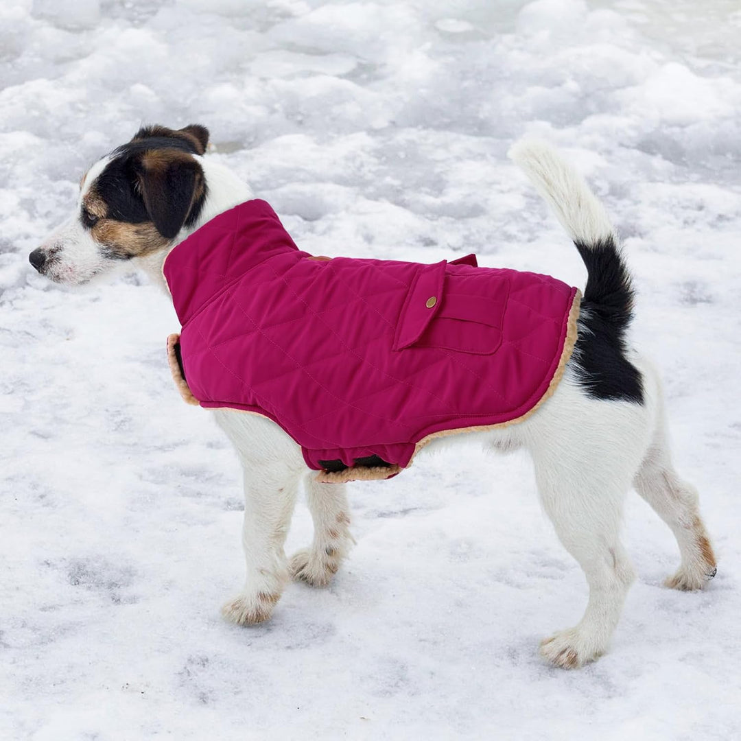 Wintermantel Hundemantel, Warme Winterjacken mit Fleece für Hunde,Hundejacke Hundekleidung Hundepull
