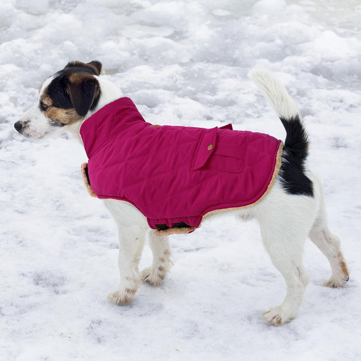 Wintermantel Hundemantel, Warme Winterjacken mit Fleece für Hunde,Hundejacke Hundekleidung Hundepull