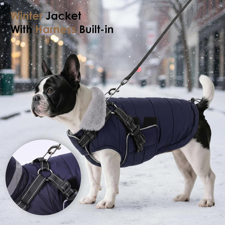 ASENKU Hundemantel für Kleine Hunde mit Geschirr, Warme Fleece Hundemantel Winter Wasserdicht Mit Br