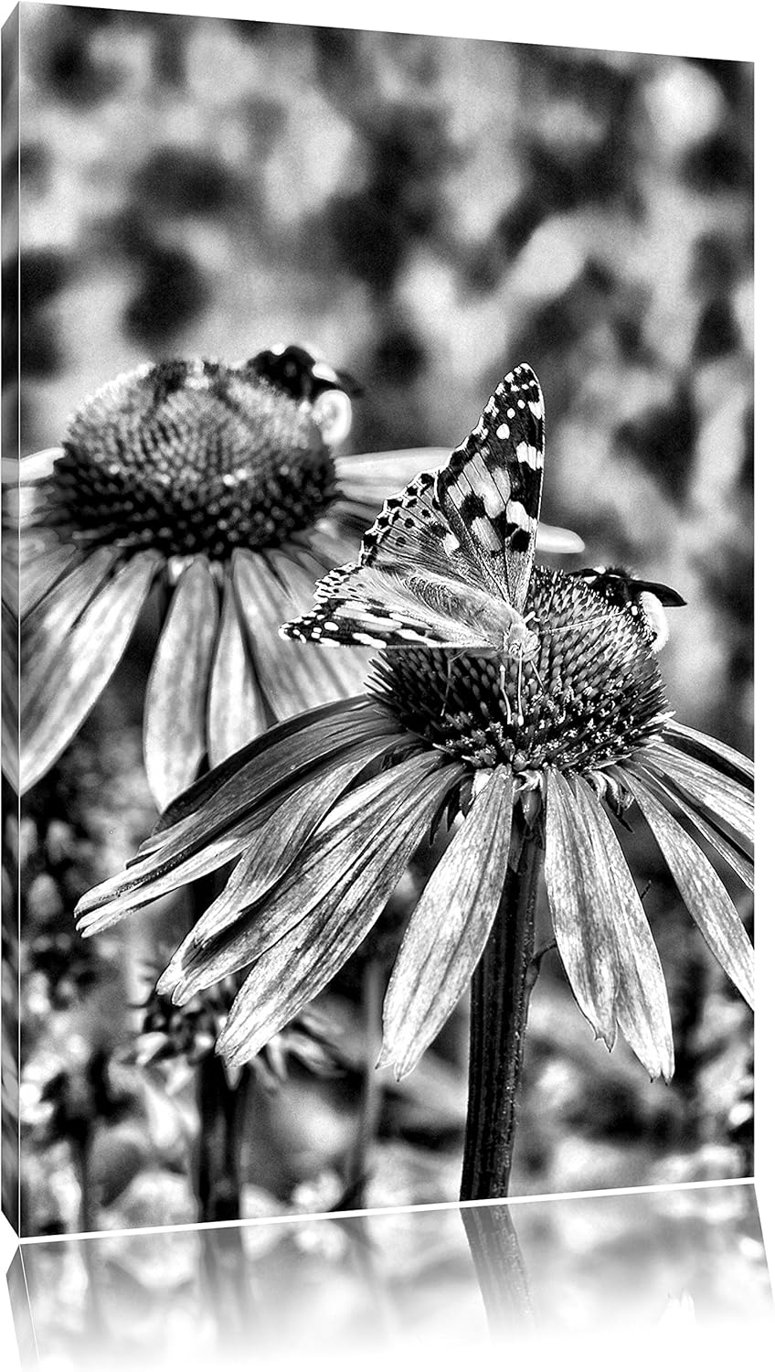 Monocrome, Frühlingswiese, Format: 100x70 auf Leinwand, XXL riesige Bilder fertig gerahmt mit Keilra